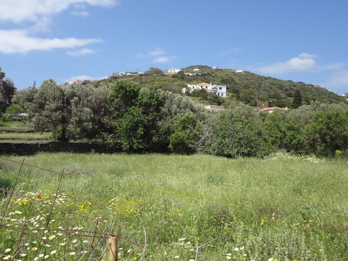 House In The Grass Land. Villa Ormos  Bagian luar foto